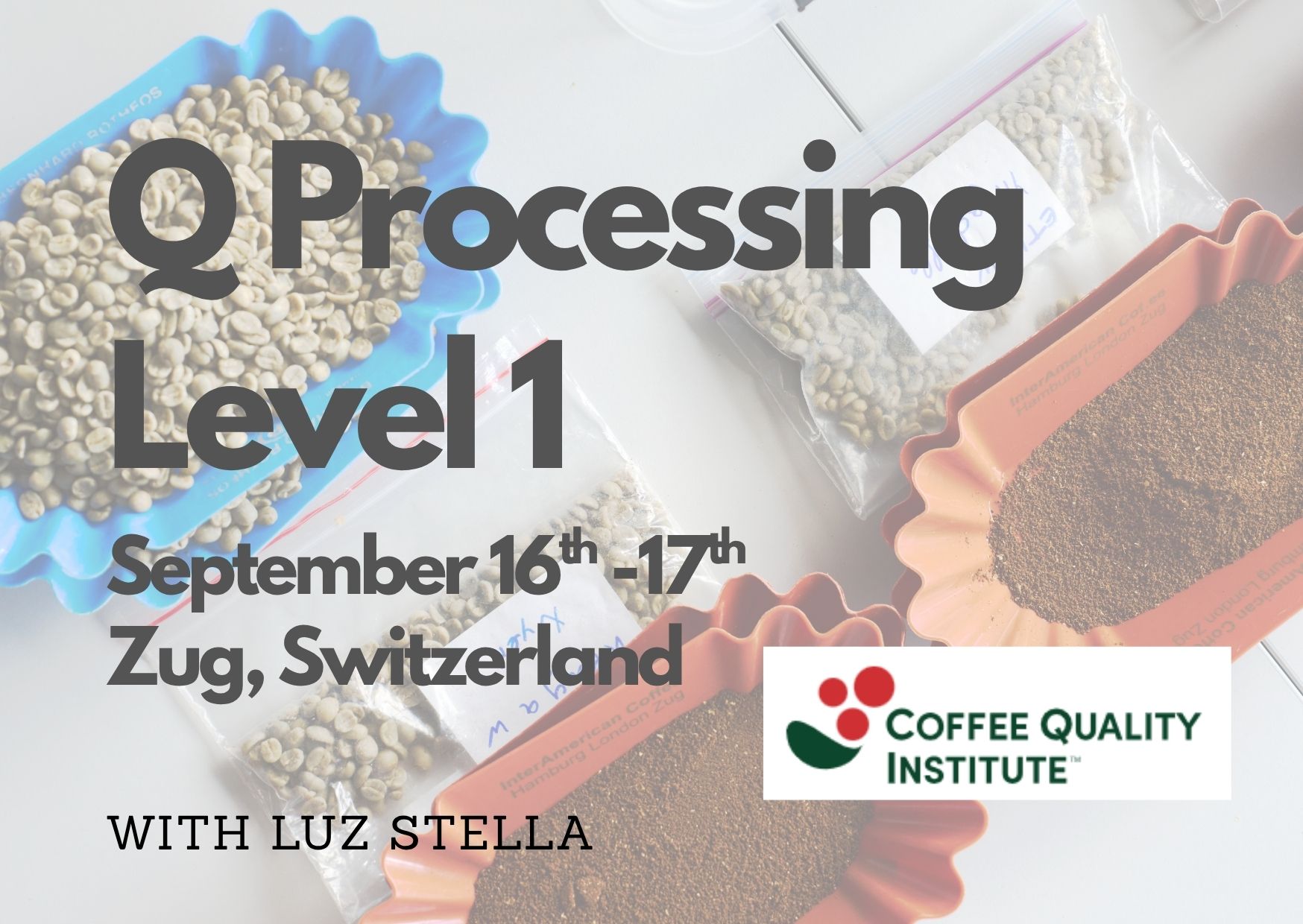 Q Processing Level 1